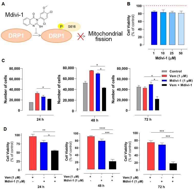 https://cdn.ncbi.nlm.nih.gov/pmc/blobs/4f82/11942190/da349eb09cb3/ijms-26-02675-g003a.jpg