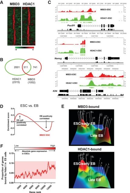 https://cdn.ncbi.nlm.nih.gov/pmc/blobs/4f82/3326306/b0459fedbbbb/gkr1151f6.jpg