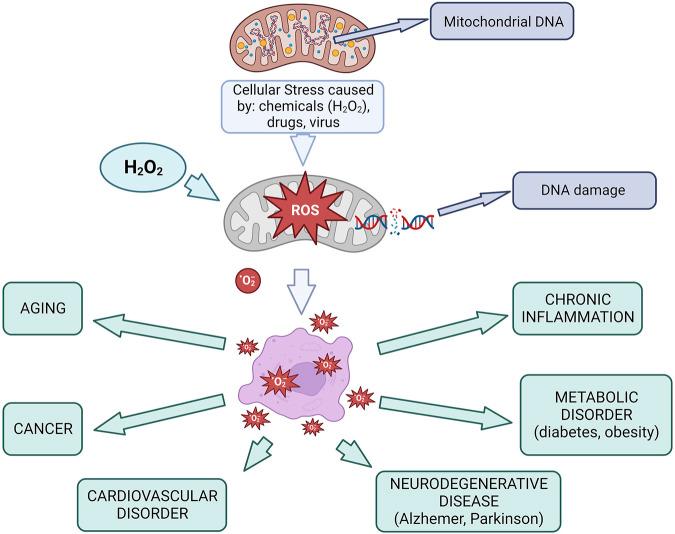 https://cdn.ncbi.nlm.nih.gov/pmc/blobs/4f83/12198024/5e8095b948b4/abp-72-14164-g001.jpg