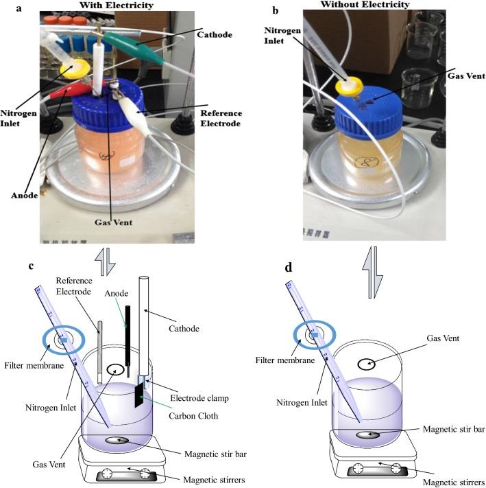 https://cdn.ncbi.nlm.nih.gov/pmc/blobs/4f83/6348651/86c326a31aa1/12934_2019_1067_Fig1_HTML.jpg