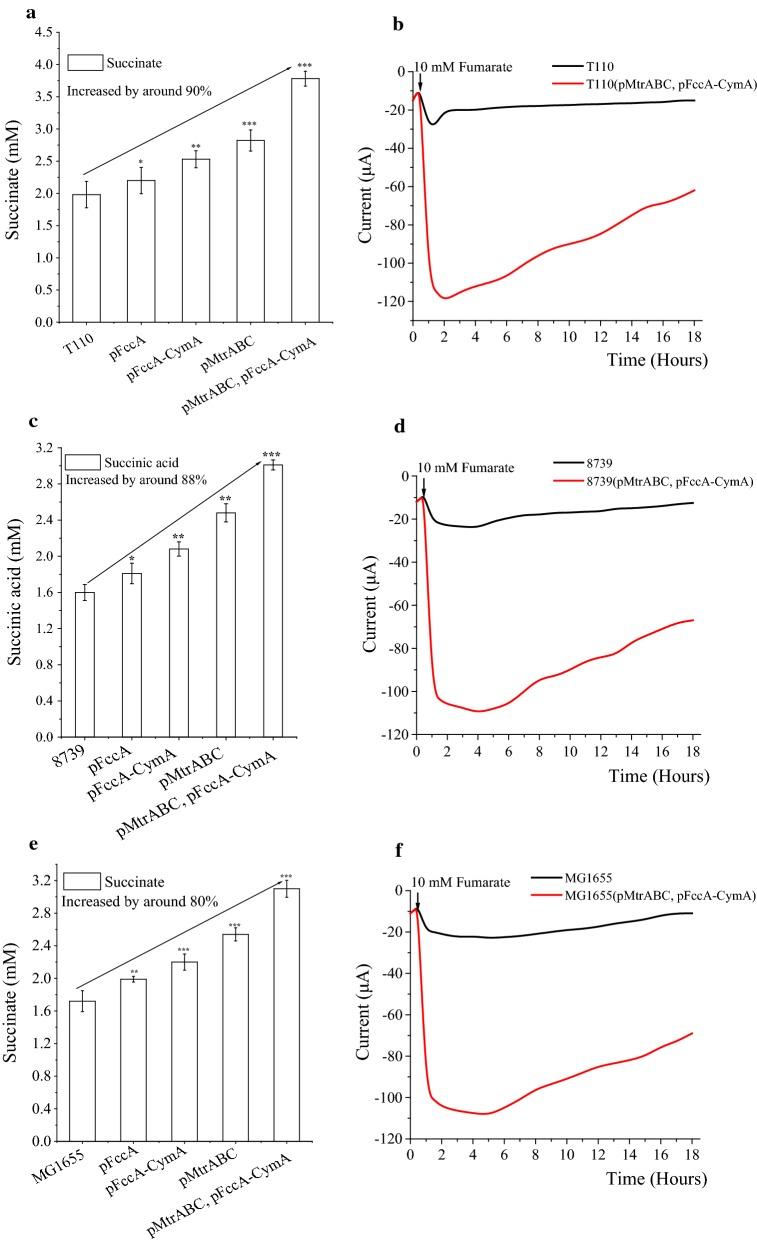 https://cdn.ncbi.nlm.nih.gov/pmc/blobs/4f83/6348651/cdf03a6e96cf/12934_2019_1067_Fig4_HTML.jpg