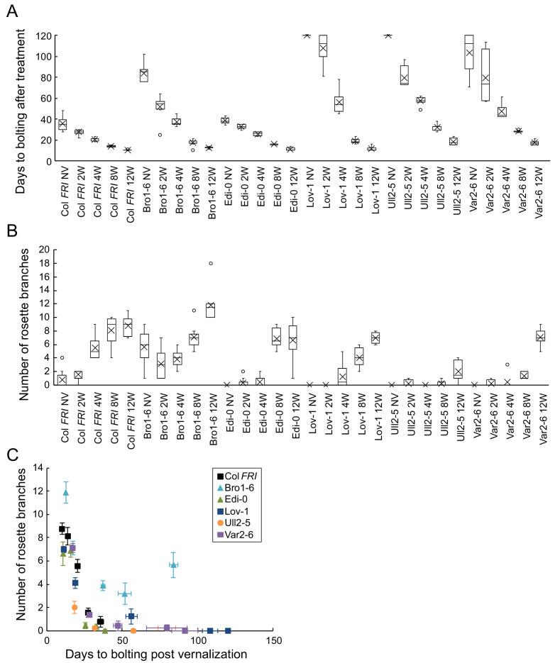 https://cdn.ncbi.nlm.nih.gov/pmc/blobs/4f83/7518893/5d0bf9069af2/elife-57671-fig1-figsupp1.jpg