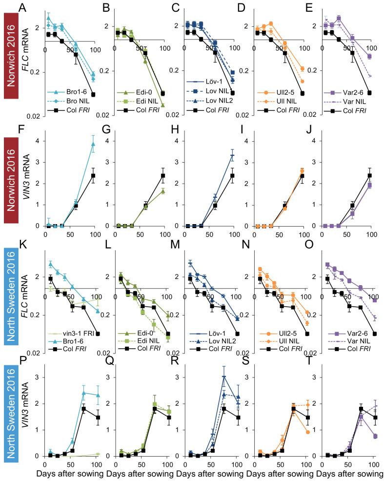 https://cdn.ncbi.nlm.nih.gov/pmc/blobs/4f83/7518893/a1675d821be5/elife-57671-fig3-figsupp1.jpg