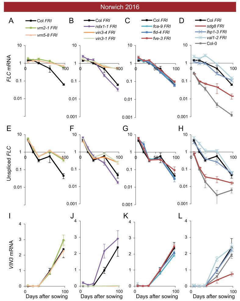 https://cdn.ncbi.nlm.nih.gov/pmc/blobs/4f83/7518893/e8bf86dcfab7/elife-57671-fig4-figsupp2.jpg