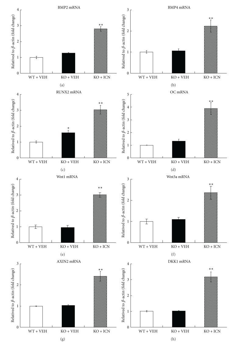 https://cdn.ncbi.nlm.nih.gov/pmc/blobs/4f85/3835354/08eb1c3d83ce/ECAM2013-652317.004a.jpg