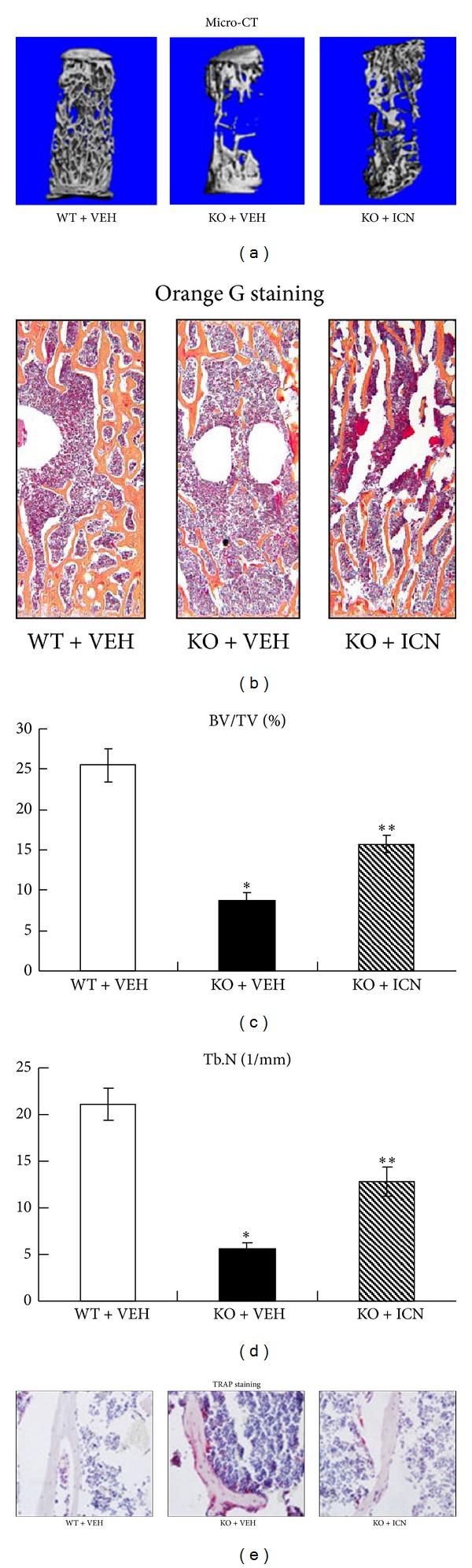 https://cdn.ncbi.nlm.nih.gov/pmc/blobs/4f85/3835354/9eb9e04ffd86/ECAM2013-652317.002.jpg