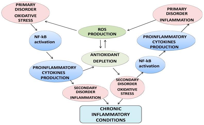 https://cdn.ncbi.nlm.nih.gov/pmc/blobs/4f85/6357022/1de1eb6a8451/nutrients-11-00046-g001.jpg