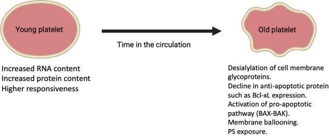 https://cdn.ncbi.nlm.nih.gov/pmc/blobs/4f85/9021412/89ec8238cb6b/fcvm-09-823549-g002.jpg