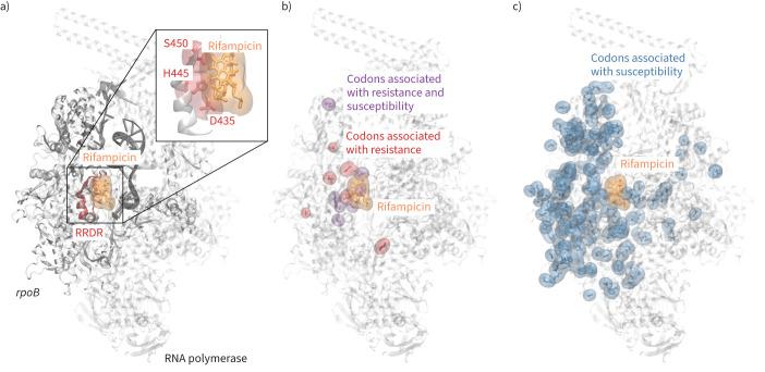 https://cdn.ncbi.nlm.nih.gov/pmc/blobs/4f86/12208608/e099f1fb2541/00952-2024.01.jpg
