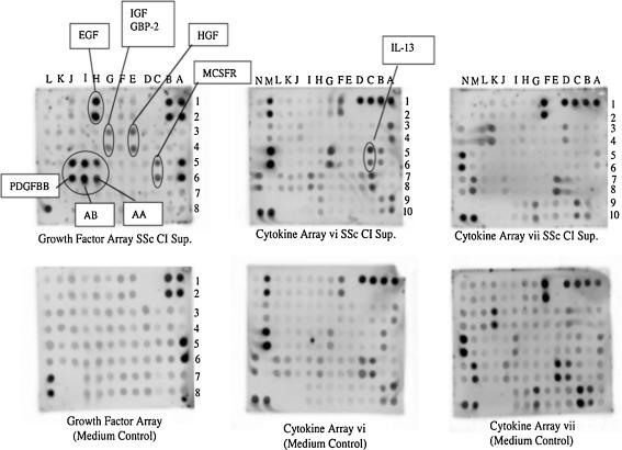 https://cdn.ncbi.nlm.nih.gov/pmc/blobs/4f86/3362697/63dae5f7688f/10067_2012_1962_Fig2_HTML.jpg