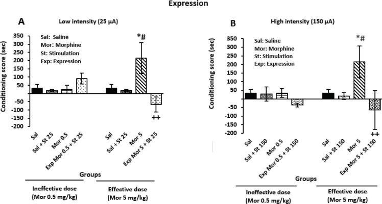 https://cdn.ncbi.nlm.nih.gov/pmc/blobs/4f87/9282746/35a4ccb2a134/IJBMS-25-604-g004.jpg