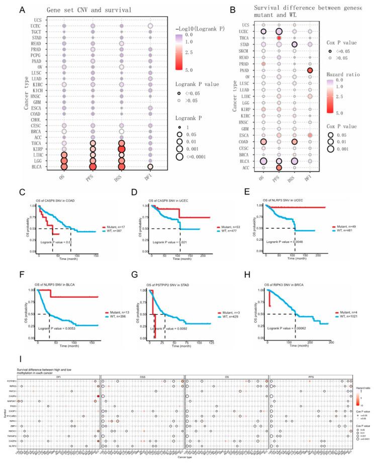 https://cdn.ncbi.nlm.nih.gov/pmc/blobs/4f89/10671595/e1b76a37bf08/genes-14-01994-g005.jpg