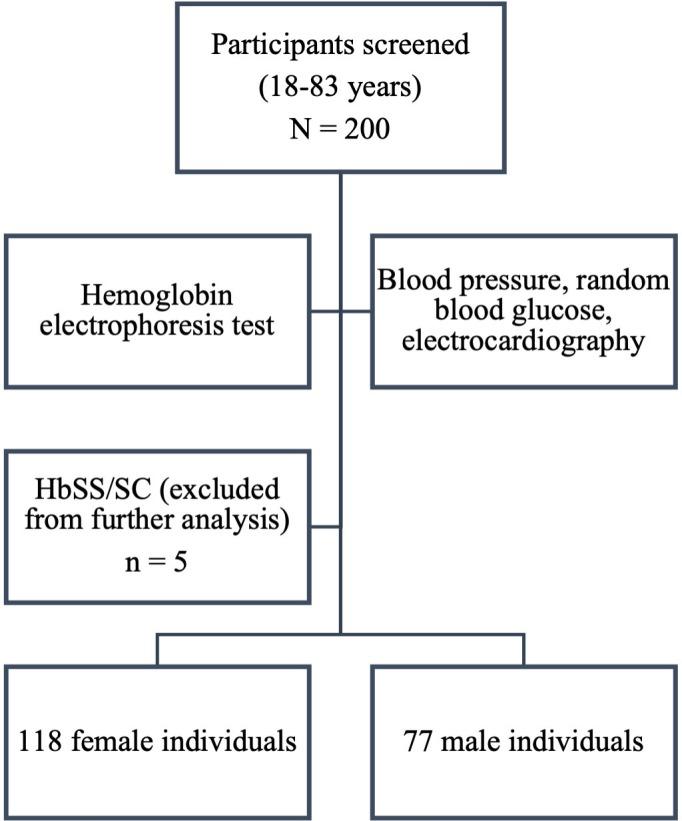 https://cdn.ncbi.nlm.nih.gov/pmc/blobs/4f89/11441453/38496d3a7c78/xmed-v5-e56993-g002.jpg