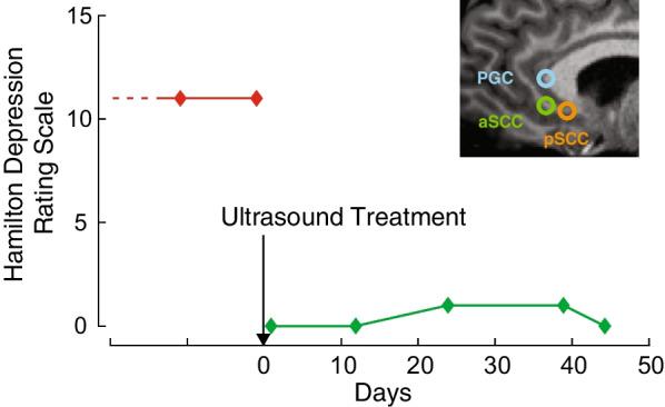 https://cdn.ncbi.nlm.nih.gov/pmc/blobs/4f8a/10612153/9f3162860990/13256_2023_4194_Fig2_HTML.jpg