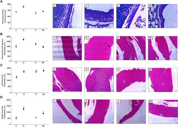 https://cdn.ncbi.nlm.nih.gov/pmc/blobs/4f8b/8605435/dffc1acd8cea/gr3.jpg