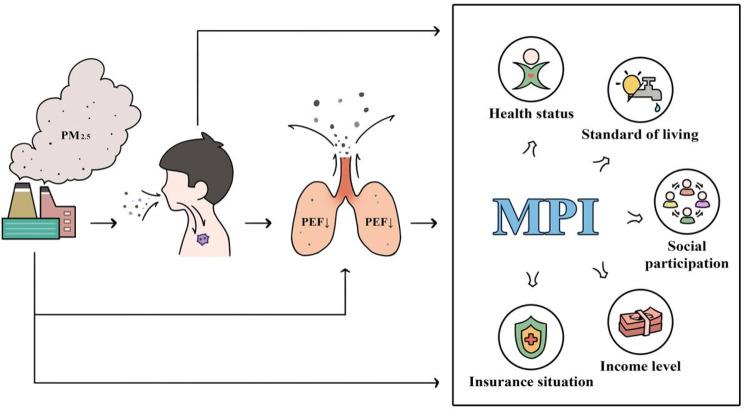 https://cdn.ncbi.nlm.nih.gov/pmc/blobs/4f8c/12254982/34e6e819106f/12889_2025_23541_Fig1_HTML.jpg