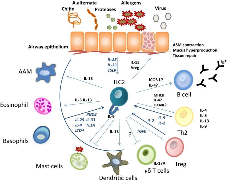 https://cdn.ncbi.nlm.nih.gov/pmc/blobs/4f8d/4896999/1368c6c5d24a/281_2016_556_Fig1_HTML.jpg