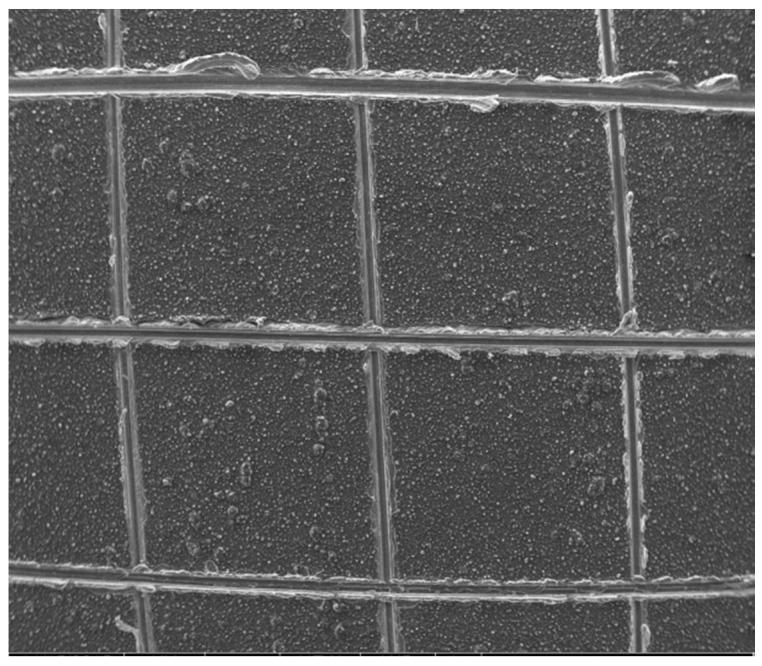 https://cdn.ncbi.nlm.nih.gov/pmc/blobs/4f8e/5506938/406d71bf2590/materials-10-00426-g009.jpg