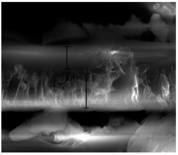 https://cdn.ncbi.nlm.nih.gov/pmc/blobs/4f8e/5506938/4e355248622f/materials-10-00426-g008.jpg