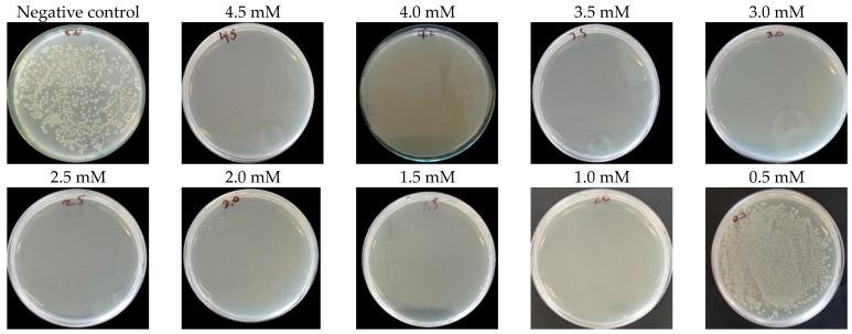 https://cdn.ncbi.nlm.nih.gov/pmc/blobs/4f8f/11243217/0d75f3495149/nanomaterials-14-01147-g009.jpg