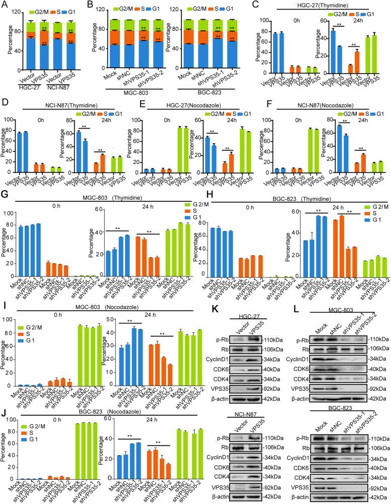 https://cdn.ncbi.nlm.nih.gov/pmc/blobs/4f90/10774127/25f5d4c05943/41388_2023_2885_Fig3_HTML.jpg
