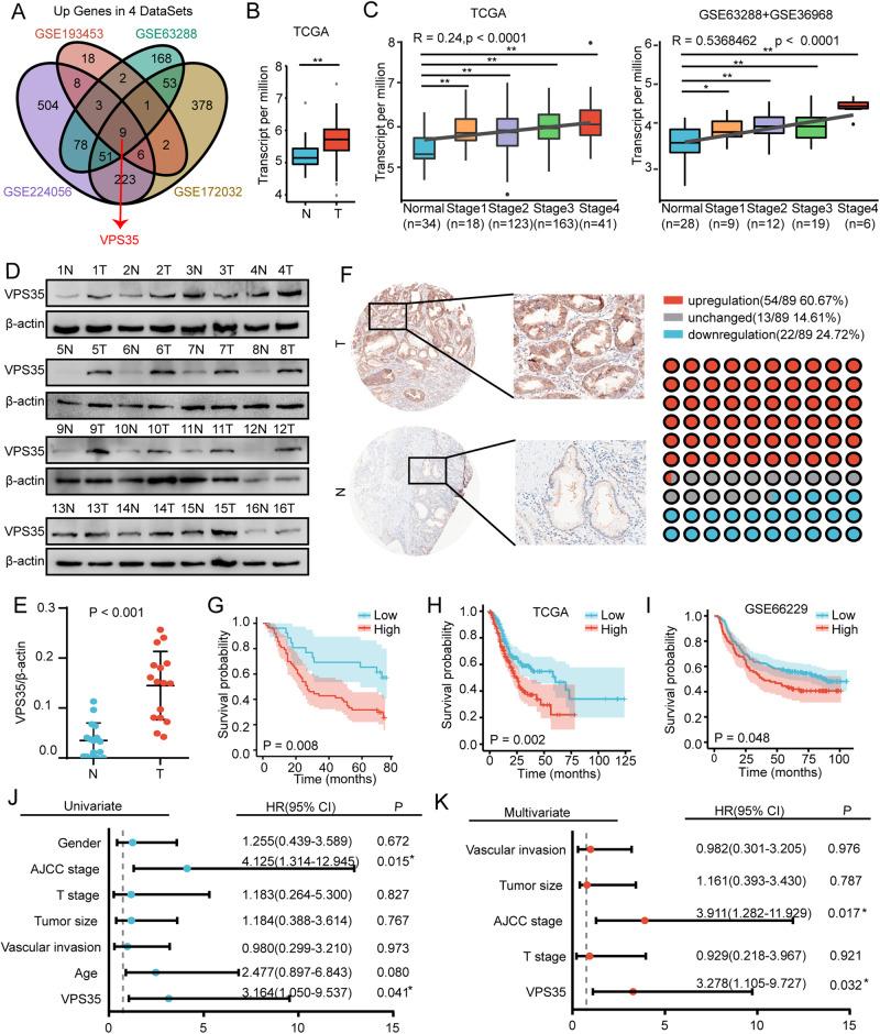 https://cdn.ncbi.nlm.nih.gov/pmc/blobs/4f90/10774127/90b657241d91/41388_2023_2885_Fig1_HTML.jpg