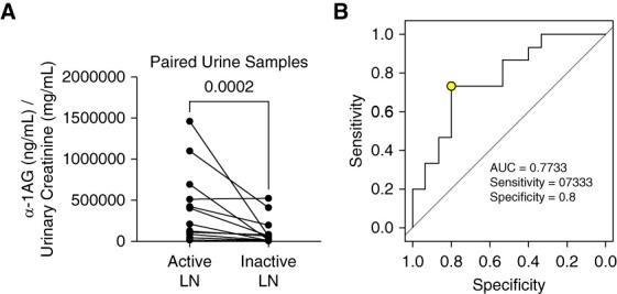 https://cdn.ncbi.nlm.nih.gov/pmc/blobs/4f90/11371349/6063788908b6/kidney360-5-1154-g004.jpg
