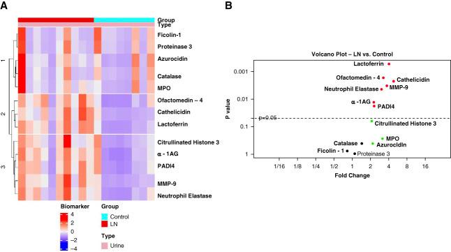 https://cdn.ncbi.nlm.nih.gov/pmc/blobs/4f90/11371349/c2afd86afedd/kidney360-5-1154-g002.jpg