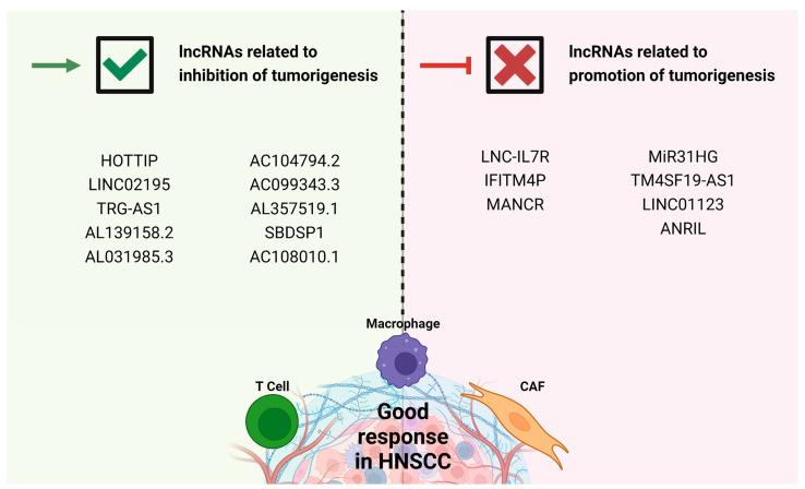 https://cdn.ncbi.nlm.nih.gov/pmc/blobs/4f91/10000590/073c2d57c5cd/cells-12-00727-g002.jpg