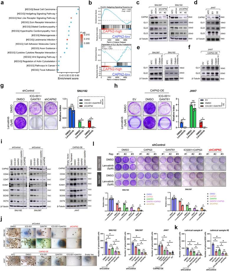 https://cdn.ncbi.nlm.nih.gov/pmc/blobs/4f91/11688263/21c71c312d5a/43556_2024_242_Fig4_HTML.jpg