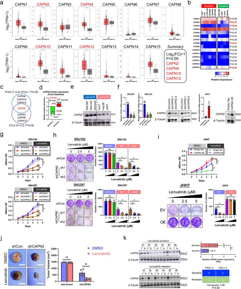 https://cdn.ncbi.nlm.nih.gov/pmc/blobs/4f91/11688263/9135e34cab35/43556_2024_242_Fig1_HTML.jpg