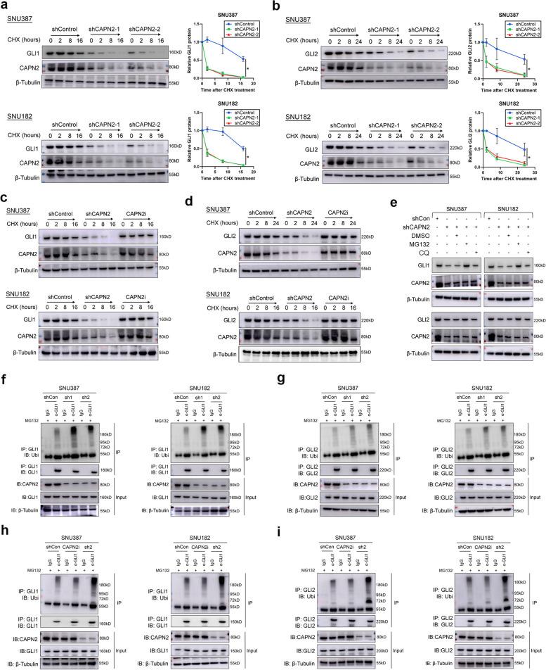https://cdn.ncbi.nlm.nih.gov/pmc/blobs/4f91/11688263/9c63dc7a0eb0/43556_2024_242_Fig5_HTML.jpg