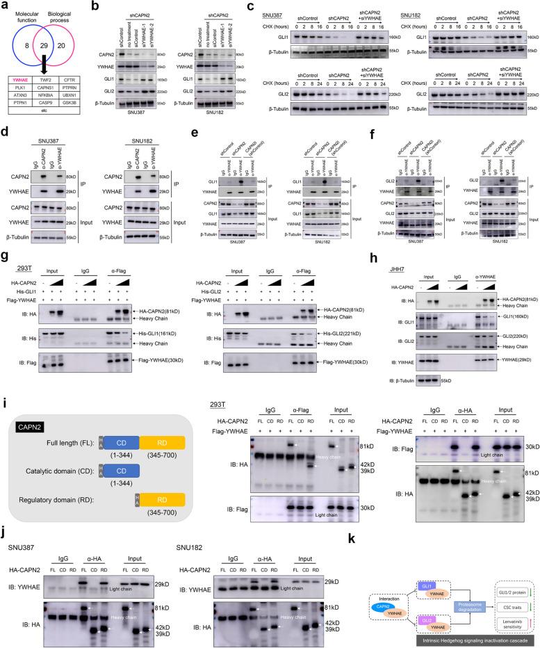 https://cdn.ncbi.nlm.nih.gov/pmc/blobs/4f91/11688263/9f93aea361d8/43556_2024_242_Fig6_HTML.jpg