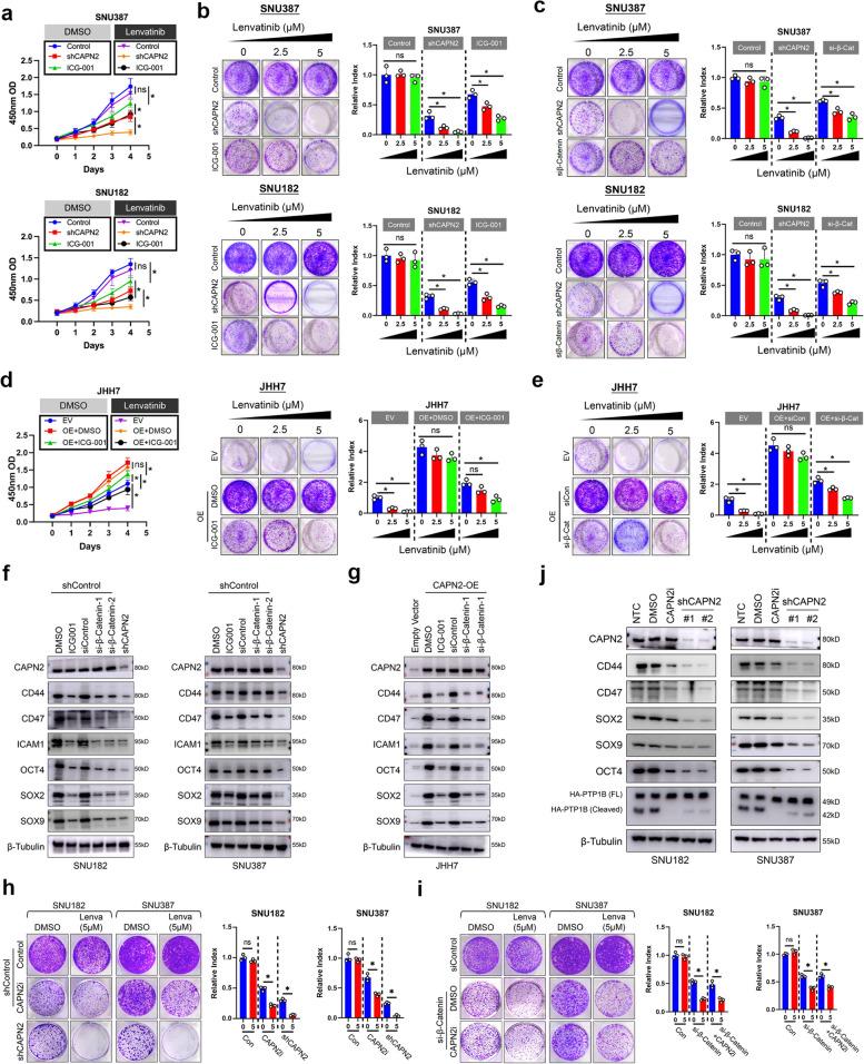https://cdn.ncbi.nlm.nih.gov/pmc/blobs/4f91/11688263/bcc6a8aa8024/43556_2024_242_Fig3_HTML.jpg