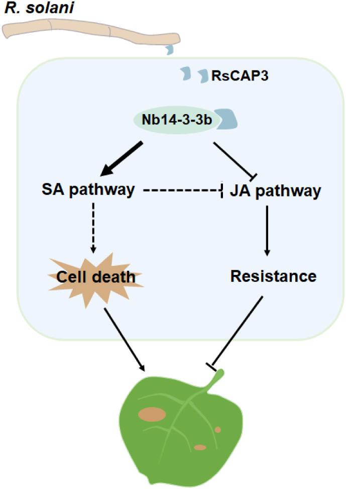https://cdn.ncbi.nlm.nih.gov/pmc/blobs/4f92/12232329/aac246db6eb2/jf5c00921_0006.jpg