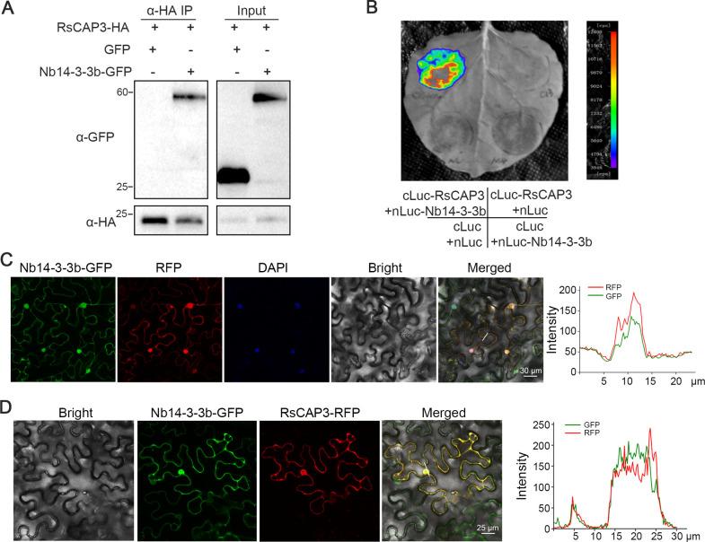 https://cdn.ncbi.nlm.nih.gov/pmc/blobs/4f92/12232329/d7b5b0db0aa7/jf5c00921_0004.jpg
