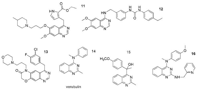 https://cdn.ncbi.nlm.nih.gov/pmc/blobs/4f95/8911180/3b21cdbac032/ijms-23-02745-g004.jpg