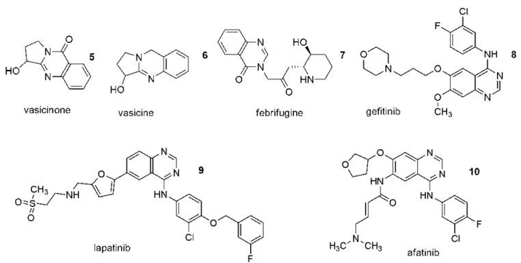 https://cdn.ncbi.nlm.nih.gov/pmc/blobs/4f95/8911180/bdf59a0b30ec/ijms-23-02745-g003.jpg