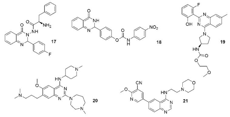 https://cdn.ncbi.nlm.nih.gov/pmc/blobs/4f95/8911180/ead57819b866/ijms-23-02745-g005.jpg
