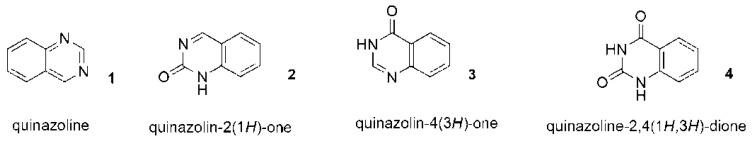 https://cdn.ncbi.nlm.nih.gov/pmc/blobs/4f95/8911180/f37af347fb6e/ijms-23-02745-g002.jpg