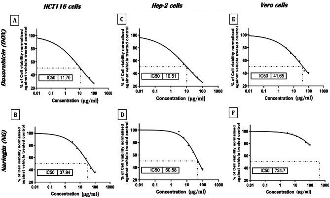 https://cdn.ncbi.nlm.nih.gov/pmc/blobs/4f96/12186448/30276228ae8e/40360_2025_947_Fig9_HTML.jpg