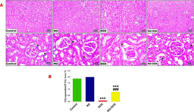 https://cdn.ncbi.nlm.nih.gov/pmc/blobs/4f96/12186448/b4b66ecd1fa1/40360_2025_947_Fig5_HTML.jpg