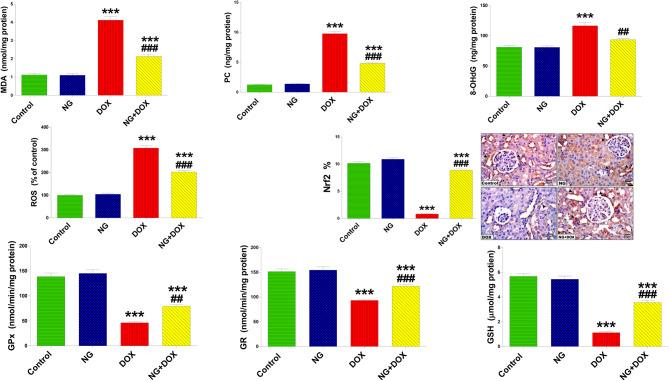 https://cdn.ncbi.nlm.nih.gov/pmc/blobs/4f96/12186448/b9d518cb4ad3/40360_2025_947_Fig6_HTML.jpg