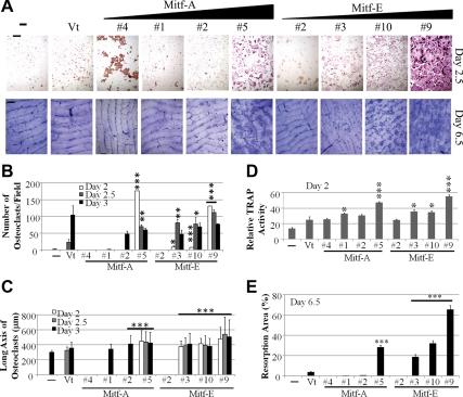 https://cdn.ncbi.nlm.nih.gov/pmc/blobs/4f96/2869381/b8223758c79c/zmk0101094480004.jpg