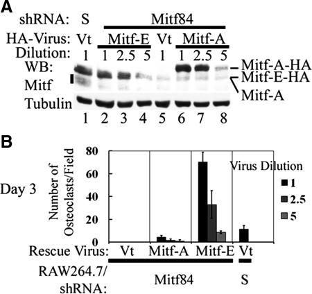 https://cdn.ncbi.nlm.nih.gov/pmc/blobs/4f96/2869381/ce66451fdcdc/zmk0101094480007.jpg
