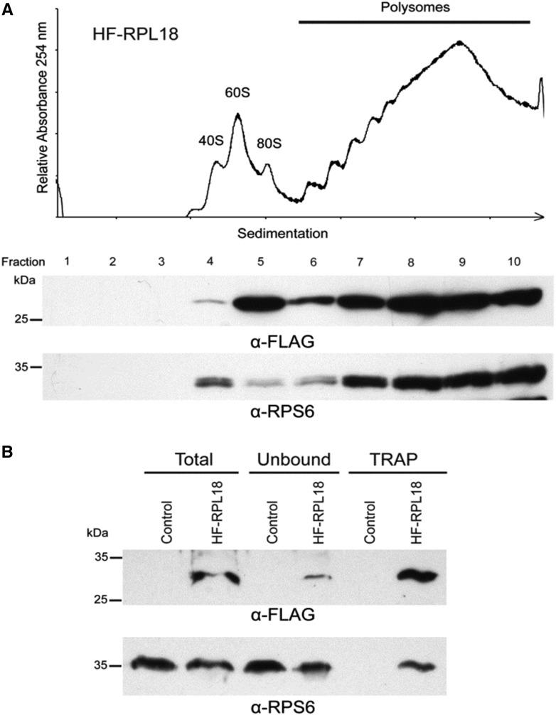 https://cdn.ncbi.nlm.nih.gov/pmc/blobs/4f97/5217110/440c91379a60/203f1.jpg