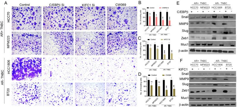 https://cdn.ncbi.nlm.nih.gov/pmc/blobs/4f98/12125945/c7fa9f3dff22/12964_2025_2243_Fig5_HTML.jpg