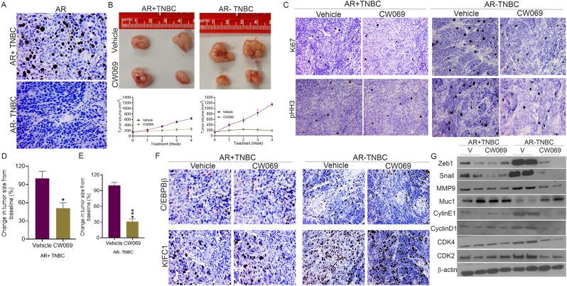 https://cdn.ncbi.nlm.nih.gov/pmc/blobs/4f98/12125945/c96214a905ba/12964_2025_2243_Fig7_HTML.jpg