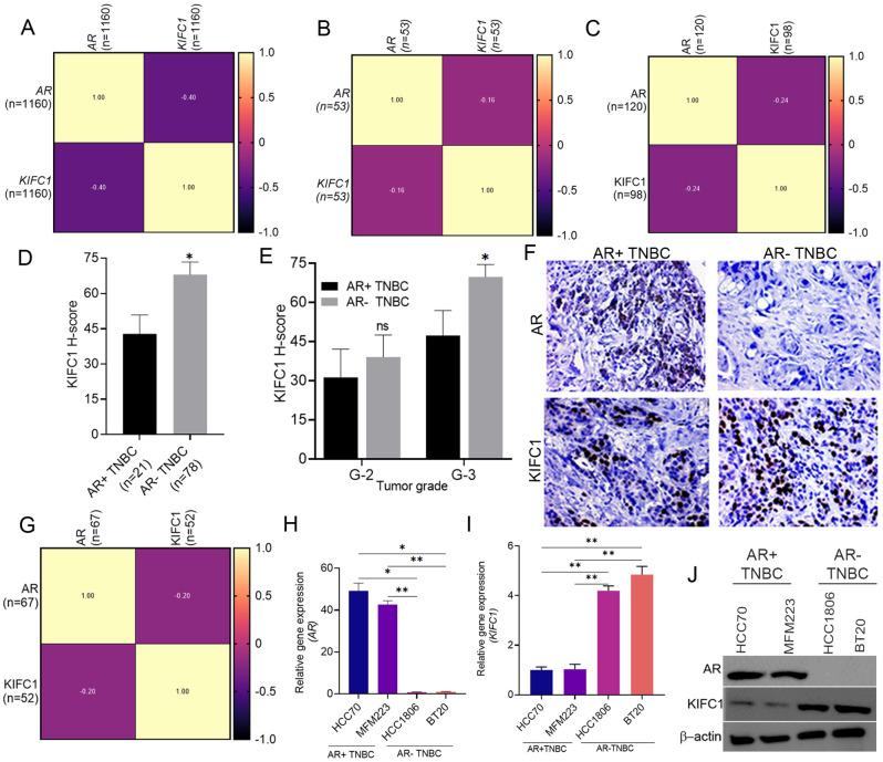 https://cdn.ncbi.nlm.nih.gov/pmc/blobs/4f98/12125945/dcf90872a9a8/12964_2025_2243_Fig1_HTML.jpg