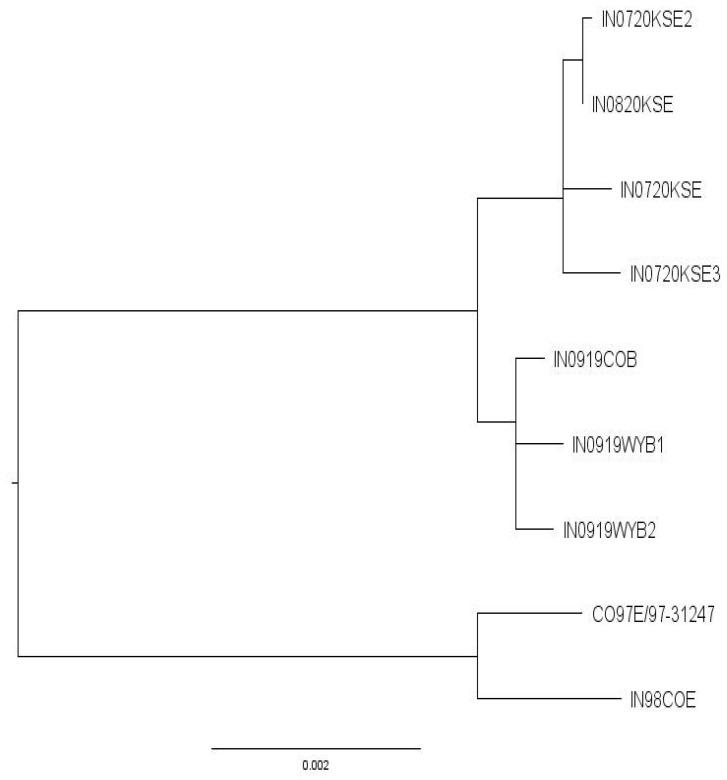 https://cdn.ncbi.nlm.nih.gov/pmc/blobs/4f99/8399664/7a4c8dc758b4/pathogens-10-00993-g005.jpg